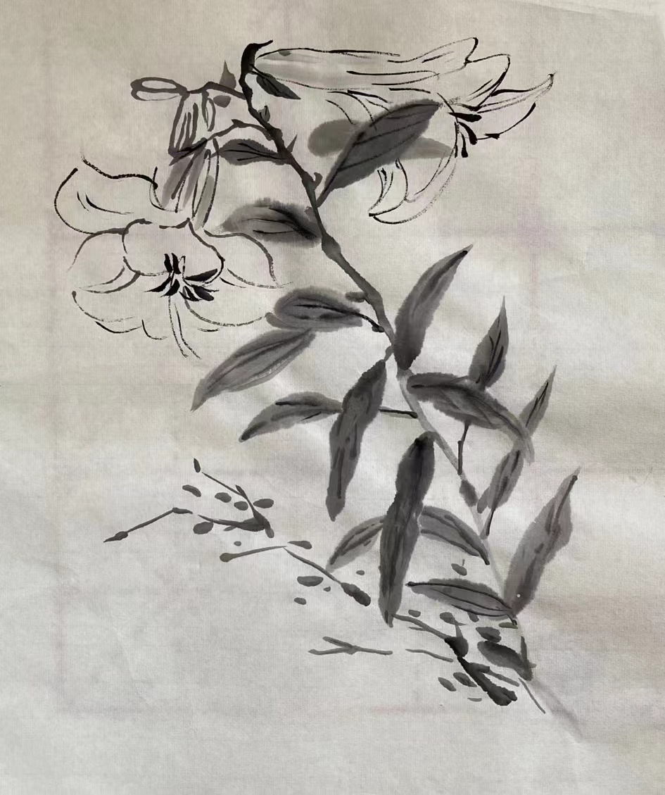 美术学院2019级水墨花鸟画选修课程结课临摹作品观摩展